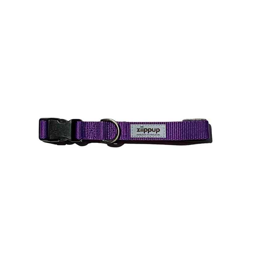 Ziippup Purple Dog Collar - Size Small